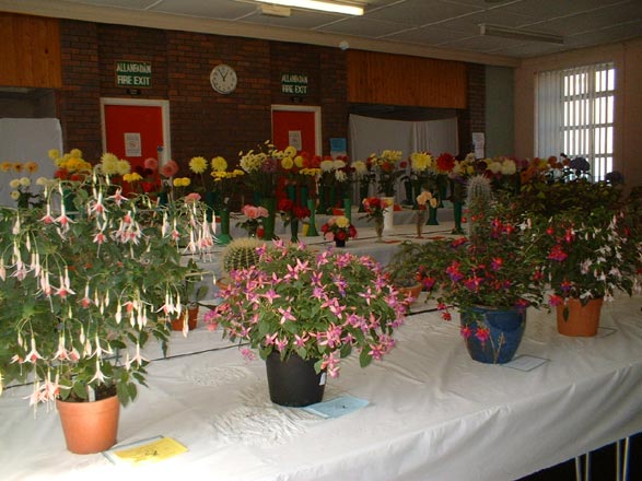 Dyffryn Nantlle Gardening Society - Flower Show 12-09-2009 - 17