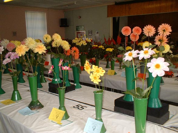 Cymdeithas Garddio Dyffryn Nantlle - Sioe Flodau 12-09-2009 - 18