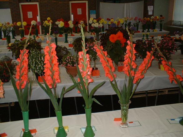 Dyffryn Nantlle Gardening Society - Flower Show 12-09-2009 - 19