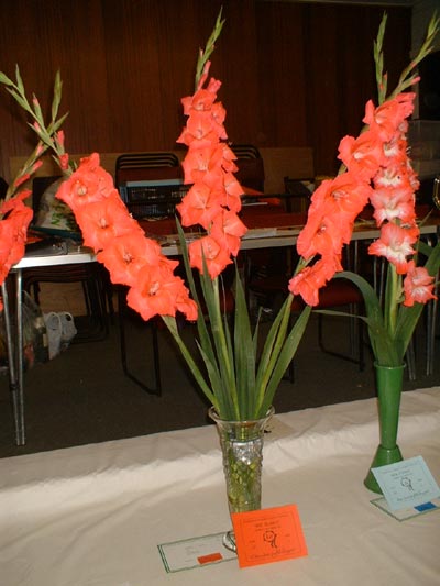 Dyffryn Nantlle Gardening Society - Flower Show 12-09-2009 - 9