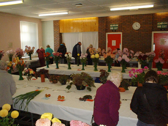 Dyffryn Nantlle Gardening Society - Autumn Show 31-10-2009 - 22