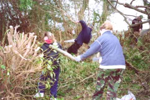 Elena Haf Williams, Ioan Lloyd Jones, Llinos Ellis a William Jones