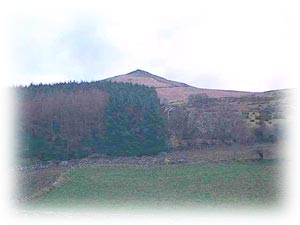 The area surrounding Gyrn Goch