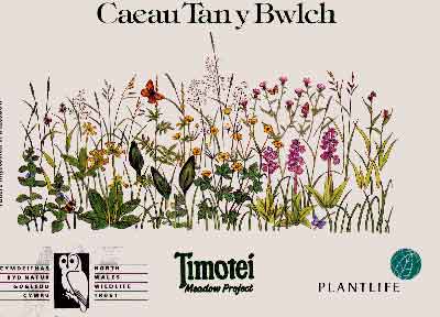 Caeau Tan y Bwlch