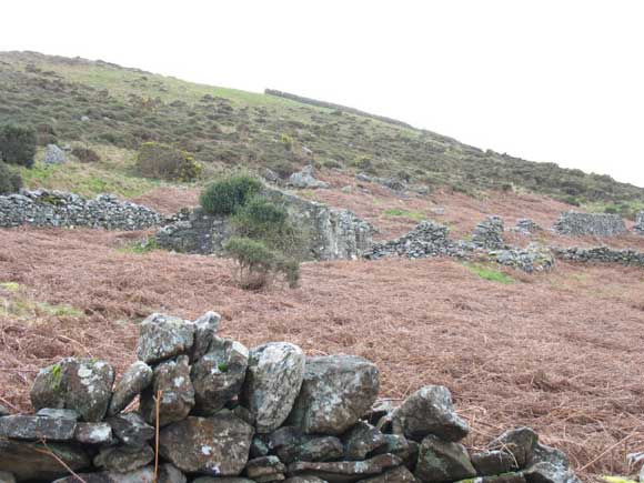An old ruin on the slopes of Gyrn Goch