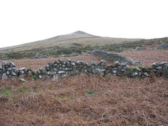 Looking toward the summit of Gyrn Goch