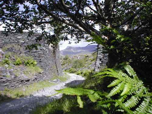 Peter Barnes: Nantlle and Dorothea 4