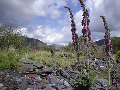 Peter Barnes: Nantlle and Dorothea 2