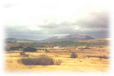 Cors y Llyn