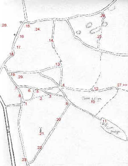 A diagram / map of Nebo and Nasareth