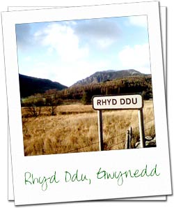 Rhyd Ddu, Nantlle Valley, Gwynedd.